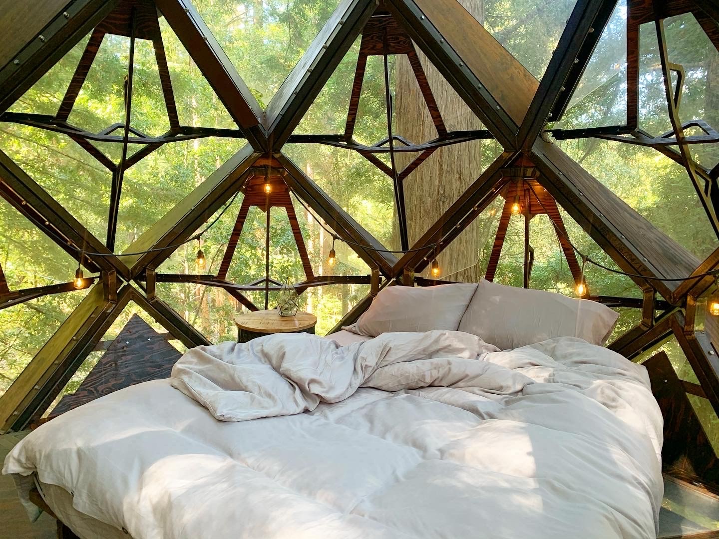Juniper interior — bed beneath the faceted shell, redwood canopy beyond